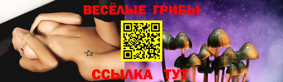 где найти наркотики  Галлюциногенные грибы ЛСД  Вход с VPN  Коркино 