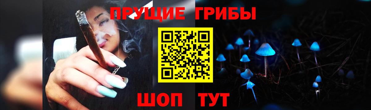 Галлюциногенные грибы Cubensis Коркино